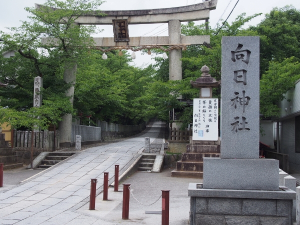 3990-13.6.19向日神社　鳥居.jpg